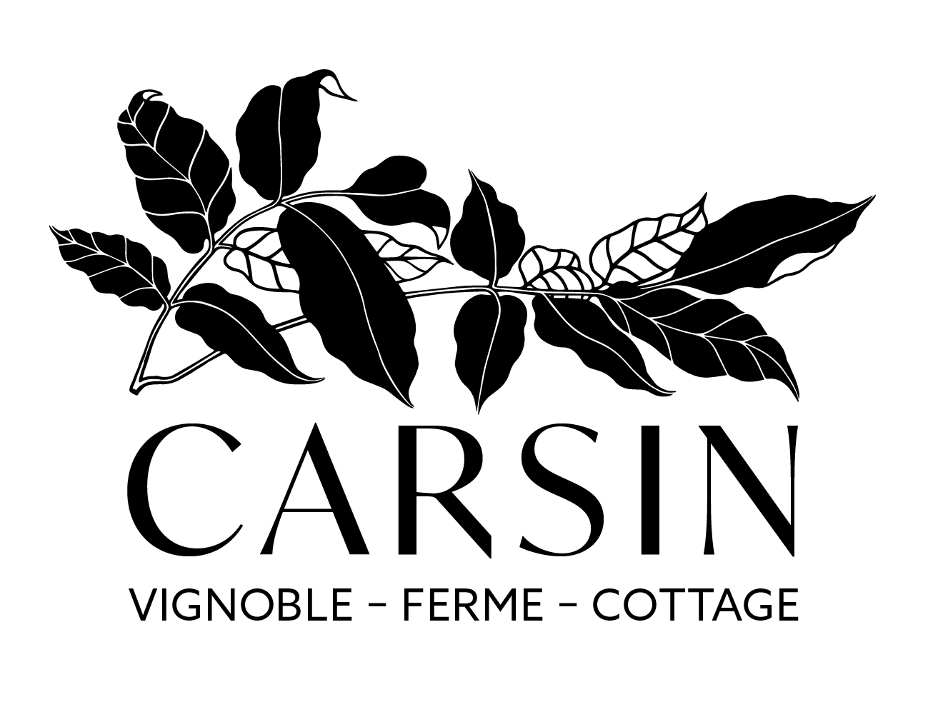Logo_Carsin_black